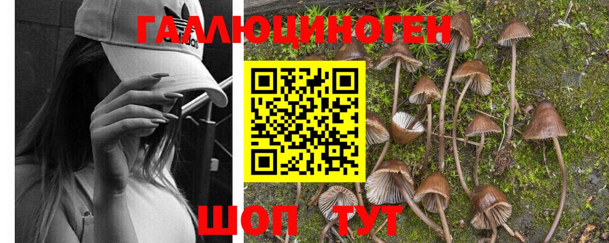 Ульяновск  Галлюциногенные грибы Psilocybine cubensis  Вход с VPN  Псилоцибиновые грибы Magic Shrooms 